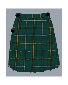  Modern Henderson Tartan Kilt